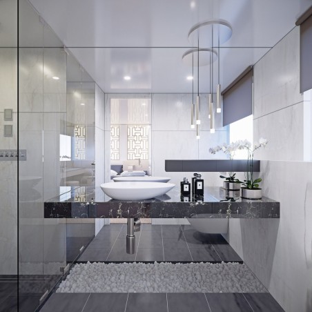 Odisej Ltd MY Custom Black Swan Black Swan