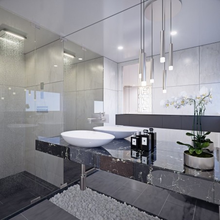 Odisej Ltd MY Custom Black Swan Black Swan