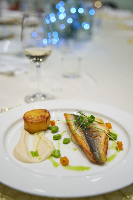 Custom Made Omnia Omnia