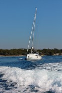 Elan Marine Elan Impression 40 Black Panther