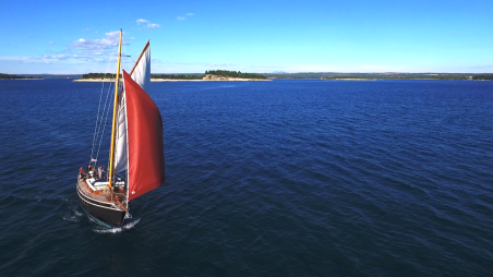 Unknown Pilot Cutter Black Bird