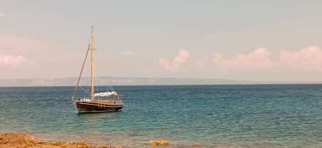 Unknown Pilot Cutter Black Bird