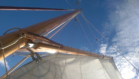 Unknown Pilot Cutter Black Bird