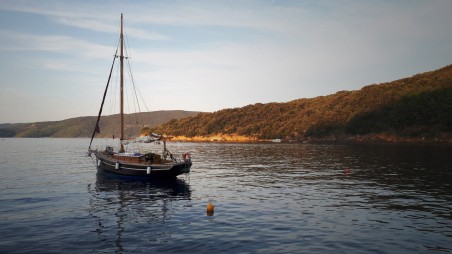 Unknown Pilot Cutter Black Bird